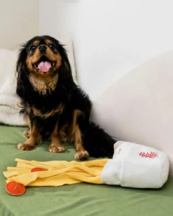 INJOYA Take Out Snuffle Interactive Dog Toy -Pet Sale Shop 9 b6df25a1 b5f3 4927 bf28 9ede38b61aa7