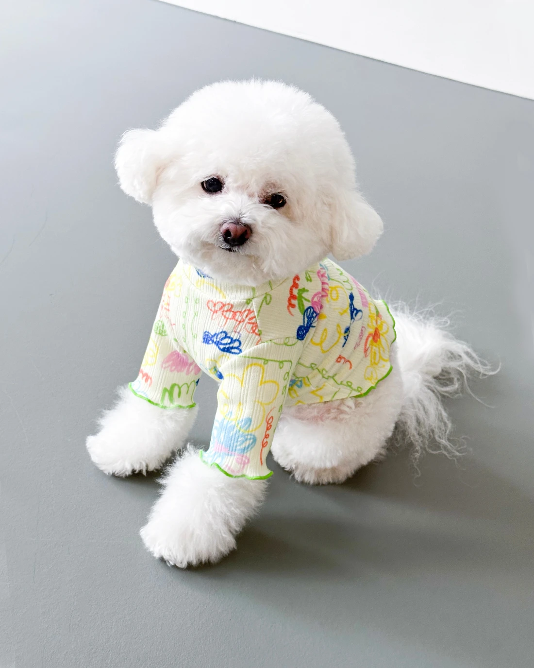 COTE A COTE Garden Lettuce Dog T-Shirt 9 COTE A COTE Garden Lettuce Dog T-Shirt - Image 9