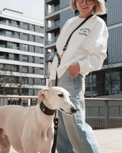 BRANNI Black Nara Hands-Free Leather Dog Leash With Brass Hardware (Made In Italy)