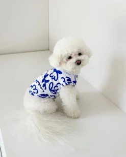 COTE A COTE Blue Scribbles Cooling Dog Tee 16 COTE A COTE Blue Scribbles Cooling Dog Tee -Pet Sale Shop 9fd980dc0634e3be793bf2ecbc55ee09 scaled