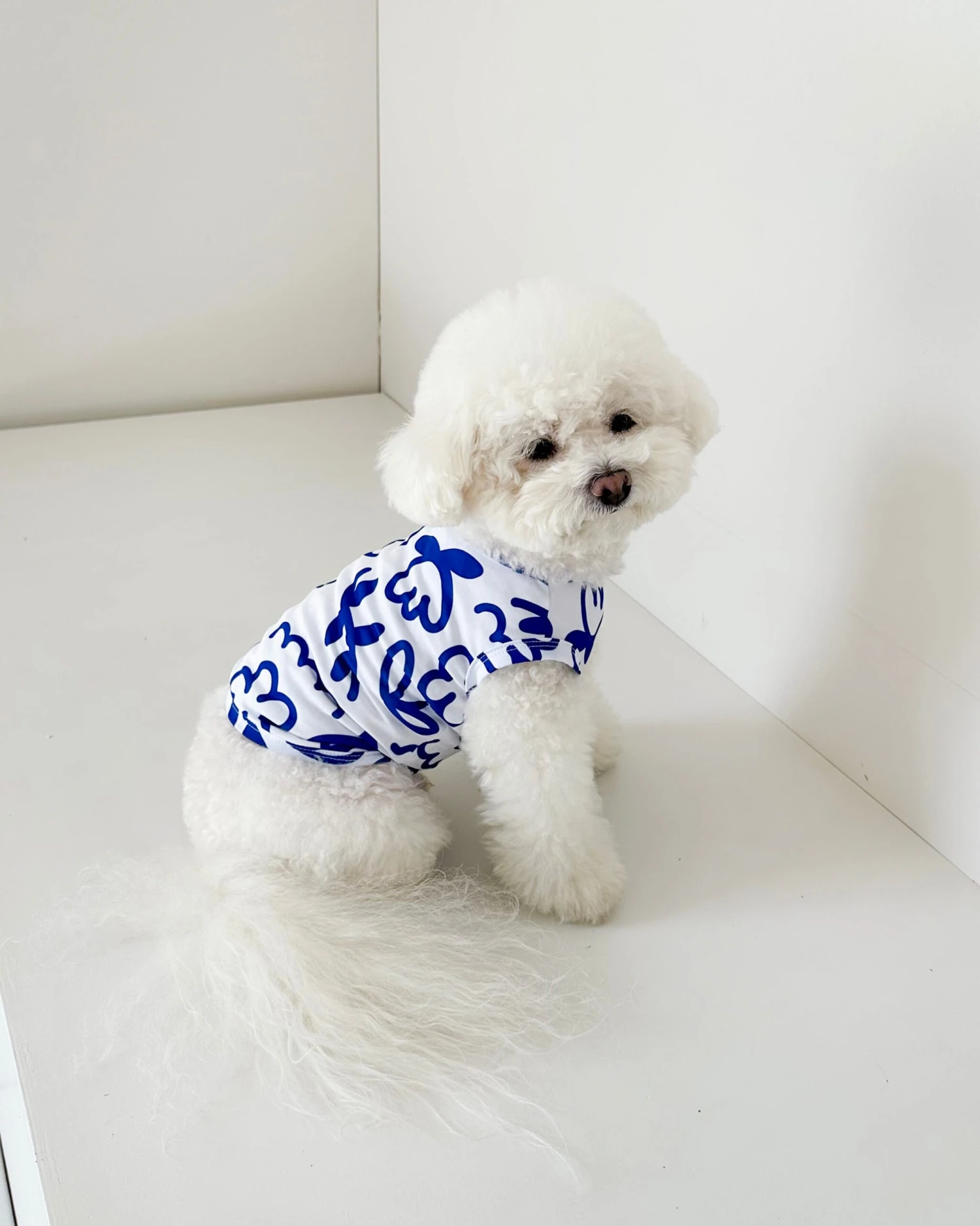 COTE A COTE Blue Scribbles Cooling Dog Tee 8 COTE A COTE Blue Scribbles Cooling Dog Tee - Image 8