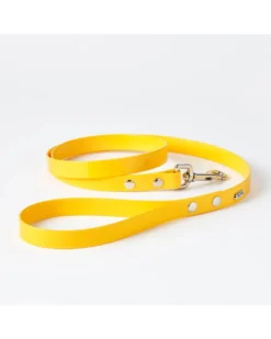 HOT DOGS ALL DRESSED Hydro Dog Leash In Yellow (Made In Canada)