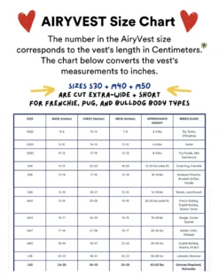 AIRYVEST For DOG & CO. Reversible AiryVest In Strawberry + Blush (DOG & CO. Exclusive) (FINAL SALE) -Pet Sale Shop AirySizeChart c035ee4b c03a 496a 91b4 b7faf92ba889