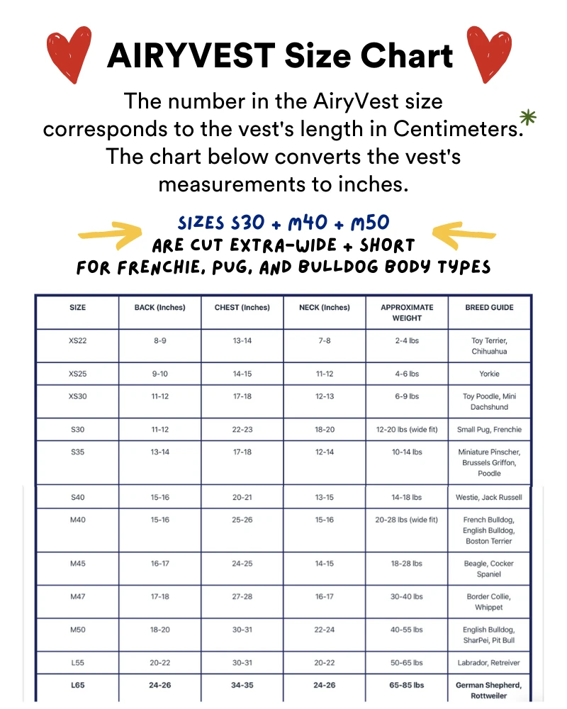 AIRYVEST For DOG & CO. Reversible AiryVest In Black + Black Dot (DOG & CO. Exclusive) 8 AIRYVEST For DOG & CO. Reversible AiryVest In Black + Black Dot (DOG & CO. Exclusive) - Image 8