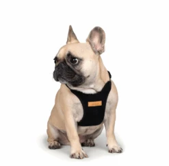 CHARLIE'S BACKYARD Comfort Dog Harness In Black -Pet Sale Shop CHARLIE SBACKYARDComfortHarnessinBlack