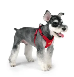 CHARLIE'S BACKYARD Comfort Dog Harness In Red -Pet Sale Shop CHARLIE SBACKYARDComfortHarnessinRed