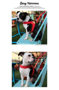 CHARLIE'S BACKYARD Adjustable Easy Dog Harness In Red -Pet Sale Shop CHARLIE S BACKYARD Easy Harness Red 2 1f275fee 912d 4fde 9956 9cfaa67079a5