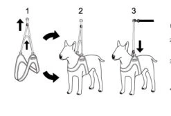 CHARLIE'S BACKYARD Adjustable Easy Dog Harness In Red -Pet Sale Shop CHARLIE S BACKYARD Easy Harness Red 4 dff0b6fe f7f4 4f6f a35b ab65dd4aaed6