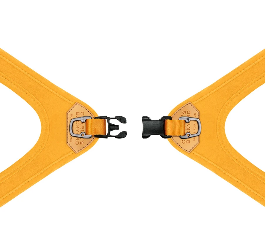 CHARLIE'S BACKYARD Buckle Up Easy Dog Harness In Black 7 CHARLIE'S BACKYARD Buckle Up Easy Dog Harness In Black - Image 7