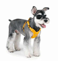 CHARLIE'S BACKYARD Comfort Dog Harness In Yellow -Pet Sale Shop ComfortHarnessinYellow3