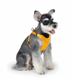 CHARLIE'S BACKYARD Comfort Dog Harness In Yellow -Pet Sale Shop ComfortHarnessinYellow4