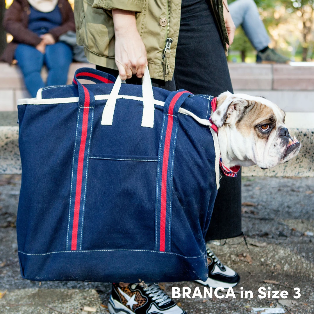 DOG & CO. COLLECTION City Carrier Dog Bag In Size 3 - Image 12