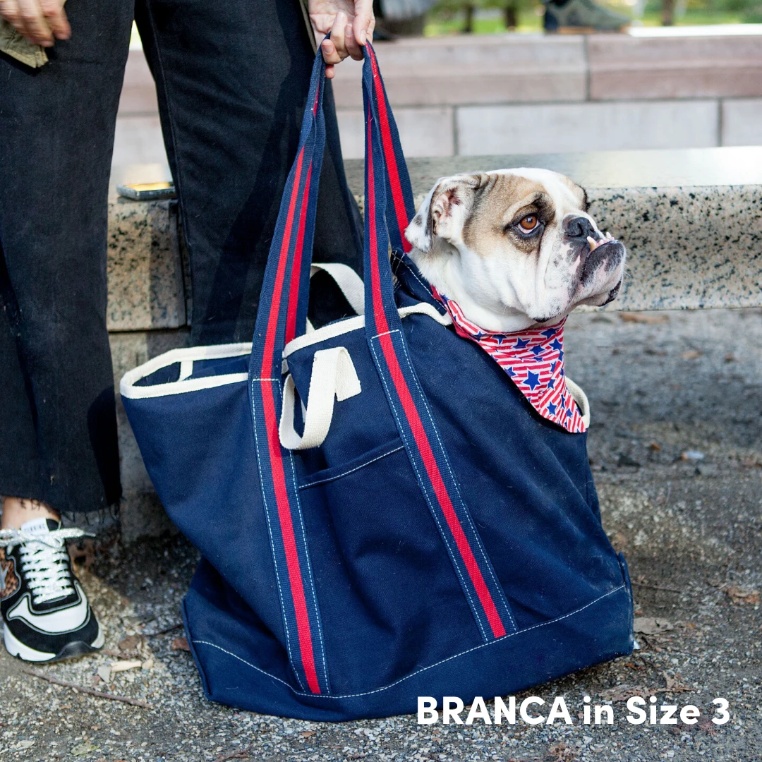 DOG & CO. COLLECTION City Carrier Dog Bag In Size 3 - Image 13