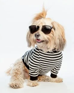 DOG & CO. COLLECTION Cheeky Stripe Pullover In Black & White With Black Trim