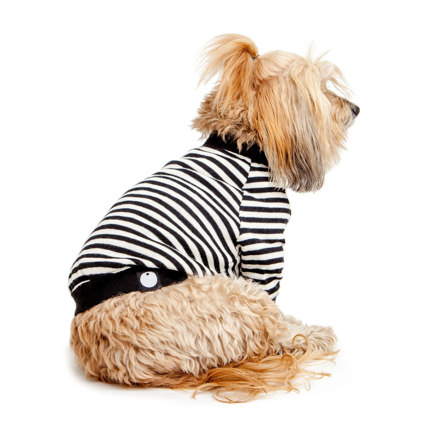 DOG & CO. COLLECTION Cheeky Stripe Pullover In Black & White With Black Trim - Image 6