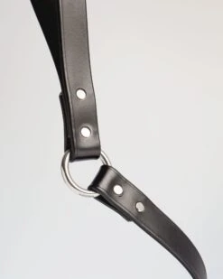 DOG & CO. COLLECTION City Leash In Basic Black (Made In The USA) -Pet Sale Shop DOG CO. CityLeashinBlack 2186