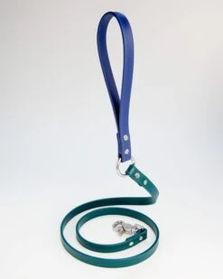 DOG & CO. COLLECTION City Leash In Hunter Green & Navy (4 Or 6 Foot) (Made In The USA) -Pet Sale Shop DOG CO. CityLeashinHunterGreenNavy 2087