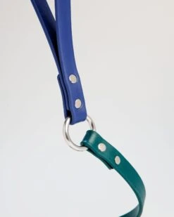 DOG & CO. COLLECTION City Leash In Hunter Green & Navy (4 Or 6 Foot) (Made In The USA) -Pet Sale Shop DOG CO. CityLeashinHunterGreenNavy 2088