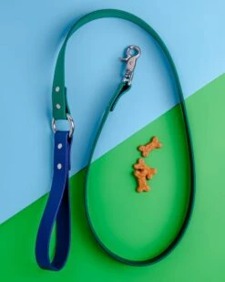 DOG & CO. COLLECTION City Leash In Hunter Green & Navy (4 Or 6 Foot) (Made In The USA) -Pet Sale Shop DOG CO. CityLeashinHunterGreen Navy 5654