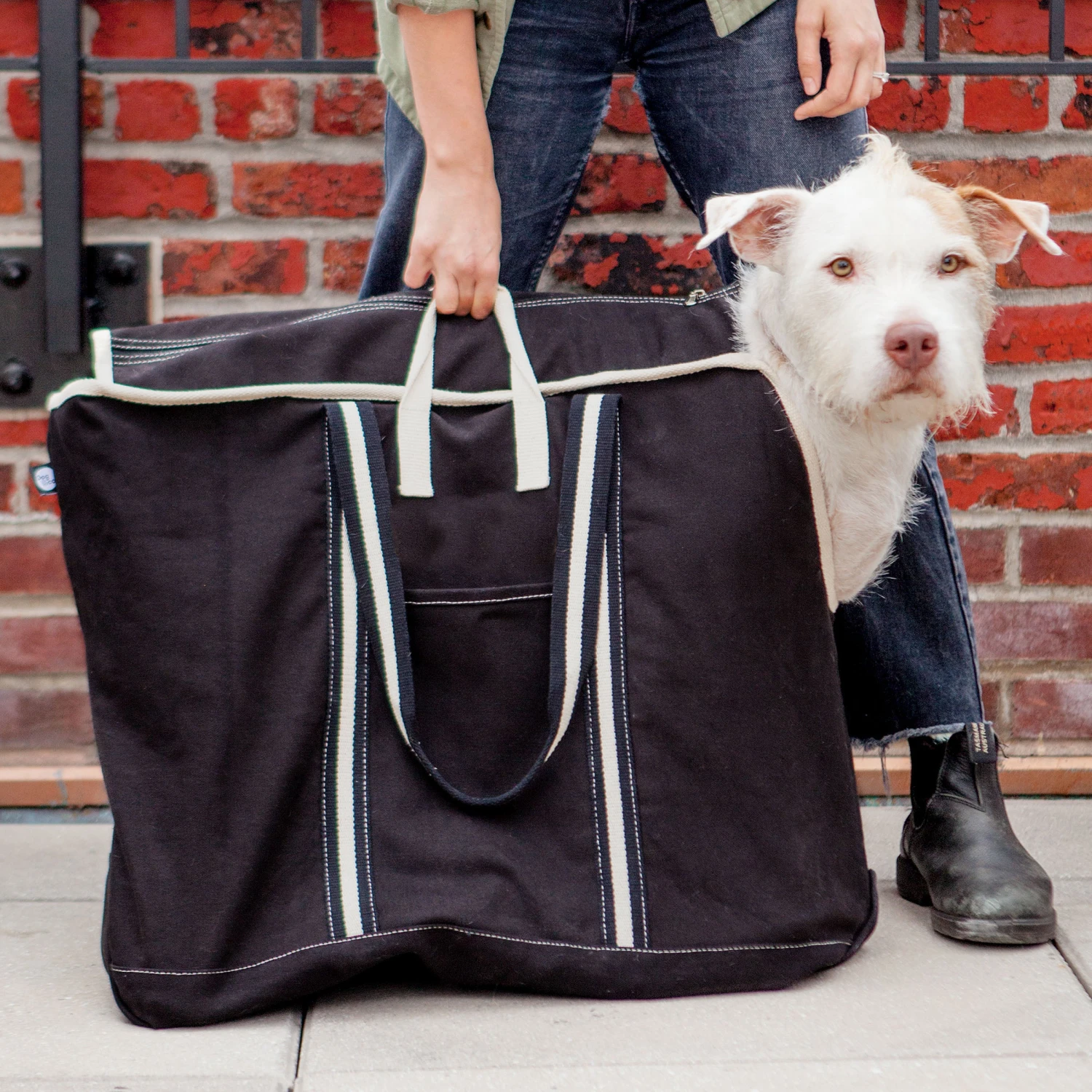 DOG & CO. COLLECTION City Carrier Dog Bag In Size 4 - Image 6