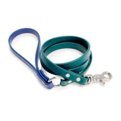 DOG & CO. COLLECTION City Leash In Hunter Green & Navy (4 Or 6 Foot) (Made In The USA) -Pet Sale Shop DOG CO. City Leash in Hunter Green Navy 2271