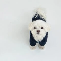 DENTISTS APPOINTMENT Boa Fleece Onesie In Navy (Dog & Co. Exclusive) -Pet Sale Shop DOG CO. DENTISTS APPOINTMENT Boa Fleece in Navy 1500x 364a40c9 817b 4b86 a18f 6282a36da56a