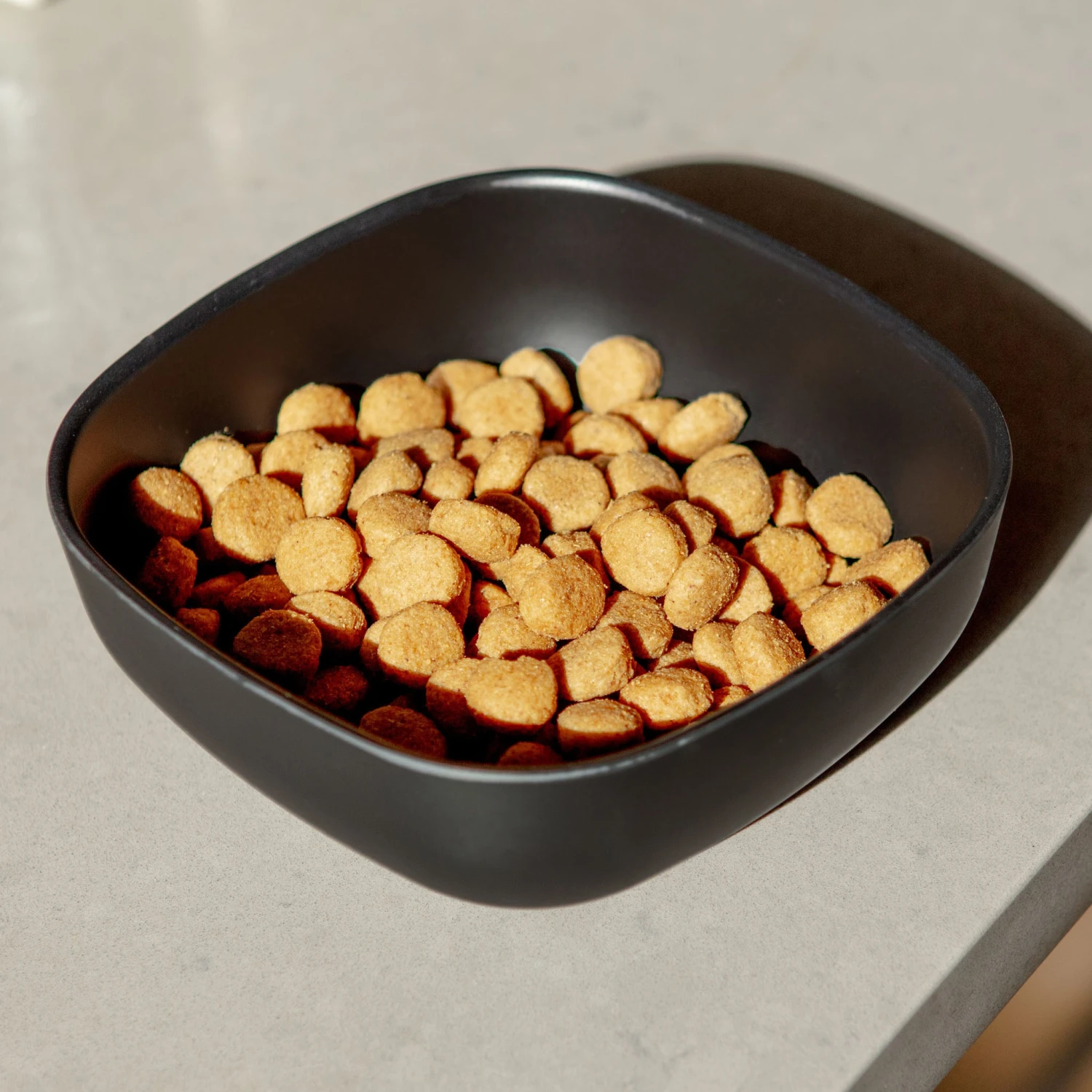 EKOBO Biobu Gusto Dog Bowl In Black (FINAL SALE) 2 EKOBO Biobu Gusto Dog Bowl In Black (FINAL SALE) - Image 2