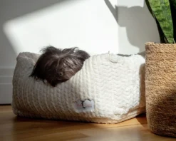 HELLO DOGGIE Paris Dog Bed In Ivory (Made In The USA) (Direct-Ship) -Pet Sale Shop DOG CO 1C5A4481a