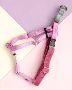 2 Hounds Design Freedom No-Pull Harness In Rose Pink (Made In The USA)