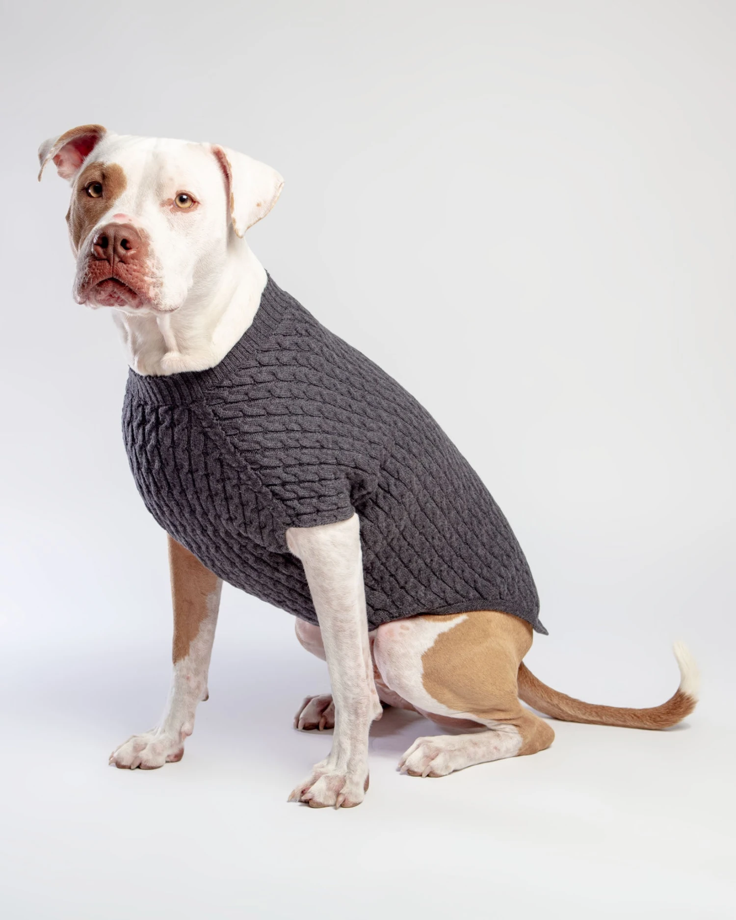 DOG & CO. COLLECTION The Uptown Cable Knit Sweater In City Slush Grey Merino Wool (Made In NYC) 2 DOG & CO. COLLECTION The Uptown Cable Knit Sweater In City Slush Grey Merino Wool (Made In NYC) - Image 2