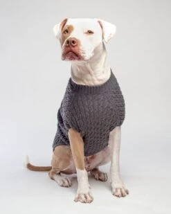 DOG & CO. COLLECTION The Uptown Cable Knit Sweater In City Slush Grey Merino Wool (Made In NYC) 17 DOG & CO. COLLECTION The Uptown Cable Knit Sweater In City Slush Grey Merino Wool (Made In NYC) -Pet Sale Shop Dog CO 1C5A2178