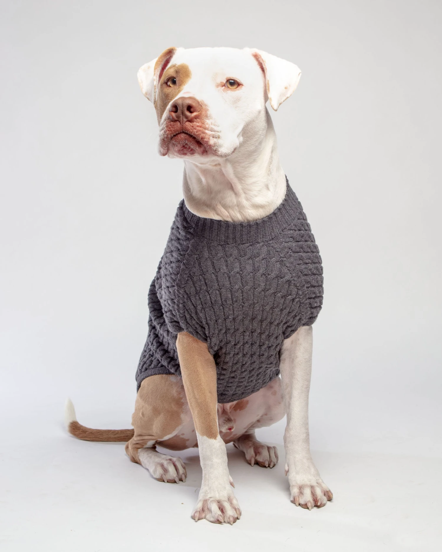 DOG & CO. COLLECTION The Uptown Cable Knit Sweater In City Slush Grey Merino Wool (Made In NYC) 7 DOG & CO. COLLECTION The Uptown Cable Knit Sweater In City Slush Grey Merino Wool (Made In NYC) - Image 7