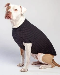 DOG & CO. COLLECTION The Uptown Cable Knit Sweater In Black Cashmere (Made In NYC) -Pet Sale Shop Dog CO 1C5A2222