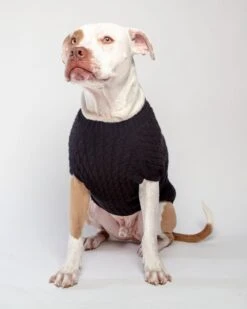 DOG & CO. COLLECTION The Uptown Cable Knit Sweater In Black Cashmere (Made In NYC) -Pet Sale Shop Dog CO 1C5A2225