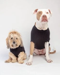 DOG & CO. COLLECTION The Uptown Cable Knit Sweater In Black Cashmere (Made In NYC) -Pet Sale Shop Dog CO 1C5A2232