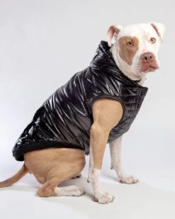 CANADA POOCH Shiny Puffer Dog Coat In Black (FINAL SALE)