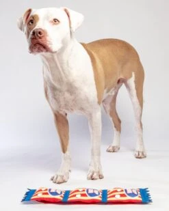 HUGSMART Super Firehose Pawpcorn Dog Toy -Pet Sale Shop Dog CO 1C5A2287