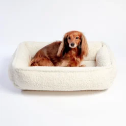 BOWSER'S PET PRODUCTS Urban Lounger In Ivory Sheepskin (Direct-Ship) -Pet Sale Shop Dog CO BOWSER SPETPRODUCTS 1C5A6087 b1b4bcdc a267 4804 b3a6 9589611747d8