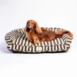 HARRY BARKER Ortho-Lounger Dog Bed (Direct-Ship) 19 HARRY BARKER Ortho-Lounger Dog Bed (Direct-Ship) -Pet Sale Shop Dog CO HarryBarker 1C5A5987 52c379da 2607 403c 8c26 9419fd6d7ebe