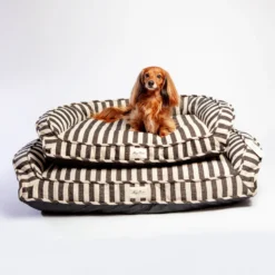 HARRY BARKER Ortho-Lounger Dog Bed (Direct-Ship) 18 HARRY BARKER Ortho-Lounger Dog Bed (Direct-Ship) -Pet Sale Shop Dog CO HarryBarker 1C5A5992 18f001ee f3f8 4857 87ad fdae22302ded