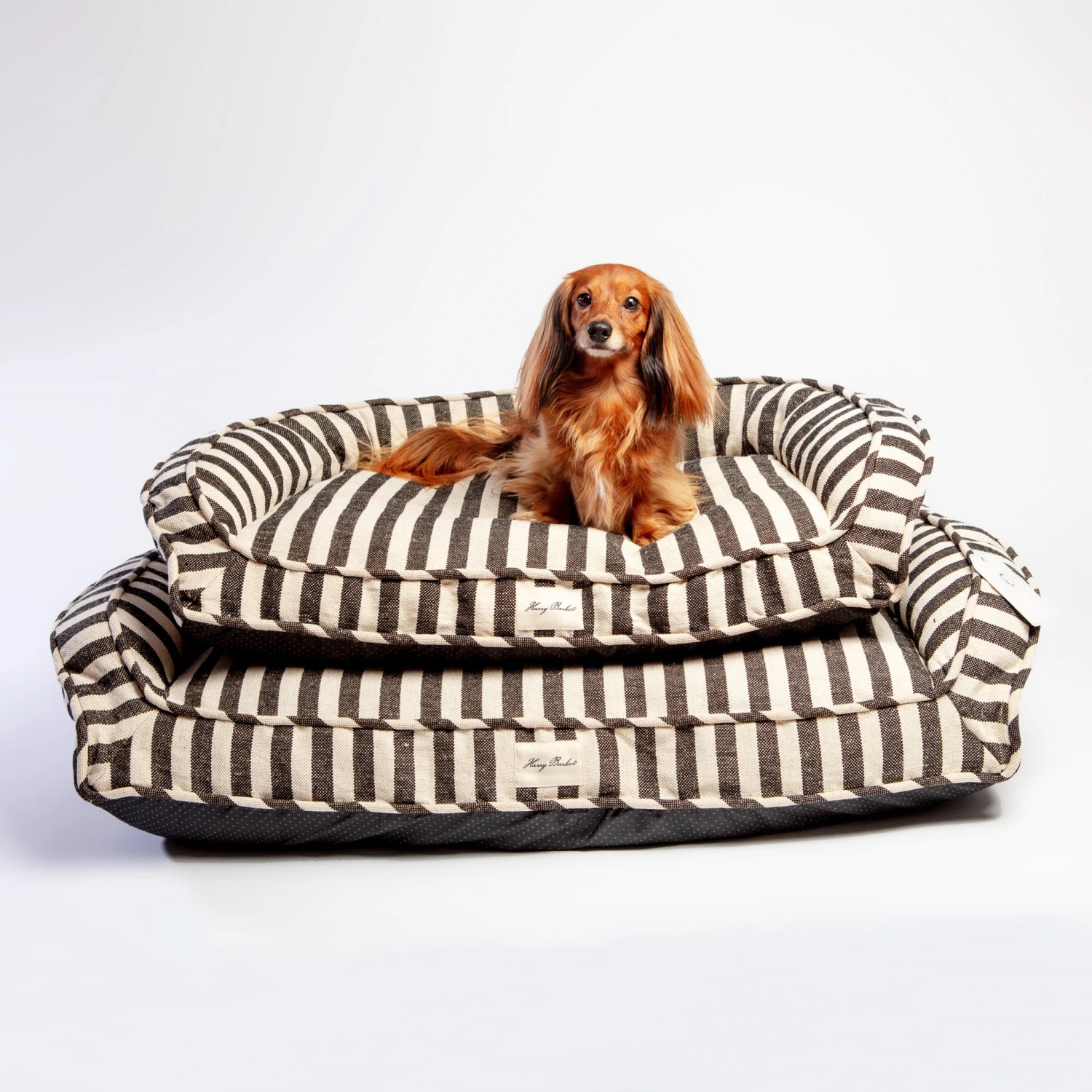 HARRY BARKER Ortho-Lounger Dog Bed (Direct-Ship) 9 HARRY BARKER Ortho-Lounger Dog Bed (Direct-Ship) - Image 9