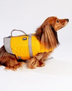 HURTTA Life Savior Dog Life Jacket In Golden Yellow (FINAL SALE) -Pet Sale Shop Dog CO huritta 1C5A8636