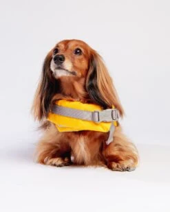 HURTTA Life Savior Dog Life Jacket In Golden Yellow (FINAL SALE) -Pet Sale Shop Dog CO ruffandtumble 1C5A8644