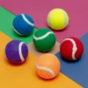 ZANIES Puppy Pride Tennis Ball - Singles