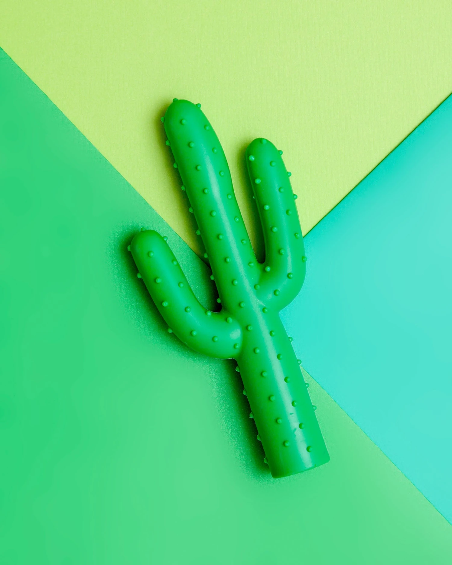 WAGGO Silly Succulent Cactus Rubber Dog Toy 1 WAGGO Silly Succulent Cactus Rubber Dog Toy