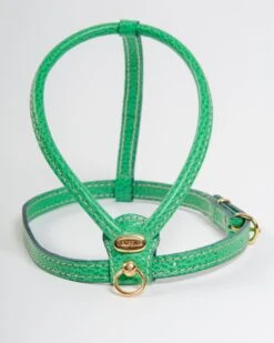 LA CINOPELCA Italian Leather Dog Harness In Green -Pet Sale Shop Dog Co 1C5A0059