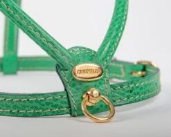 LA CINOPELCA Italian Leather Dog Harness In Green -Pet Sale Shop Dog Co 1C5A0063