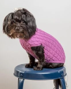 DOG & CO. COLLECTION The Uptown Cable Knit Sweater In Radiant Orchid American Cotton (Made In NYC) 14 DOG & CO. COLLECTION The Uptown Cable Knit Sweater In Radiant Orchid American Cotton (Made In NYC) -Pet Sale Shop Dog Co 1C5A0085