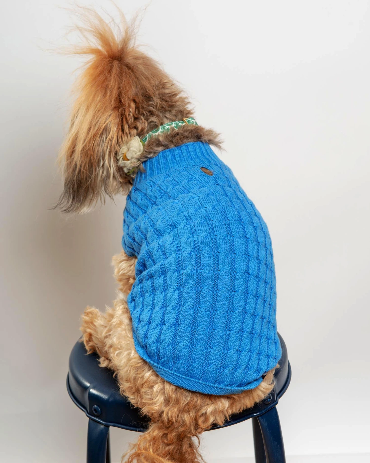 DOG & CO. COLLECTION The Uptown Cable Knit Sweater In French Blue American Cotton (Made In NYC) 7 DOG & CO. COLLECTION The Uptown Cable Knit Sweater In French Blue American Cotton (Made In NYC) - Image 7