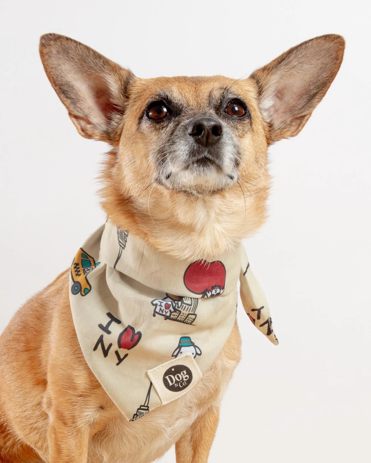 DOG & CO. I Love New York Dog Bandana (Dog & Co. Exclusive) 2 DOG & CO. I Love New York Dog Bandana (Dog & Co. Exclusive) - Image 2